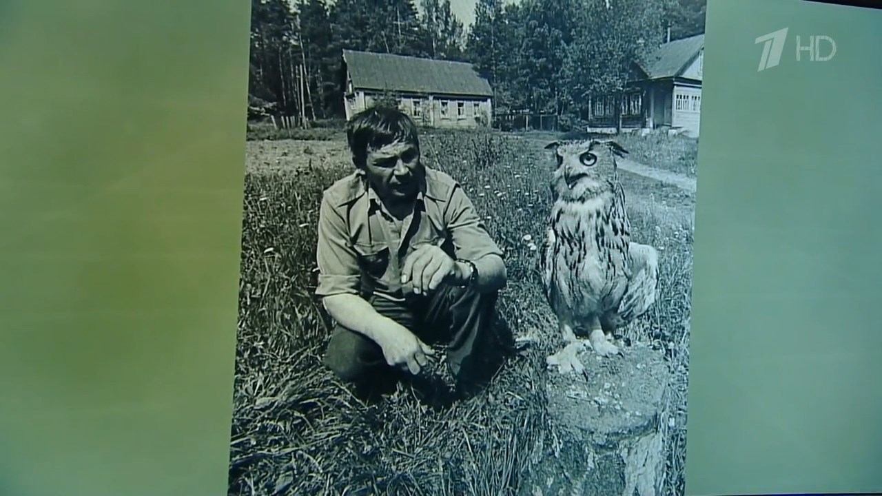 Анастасия Амвросьева о филине Фомке