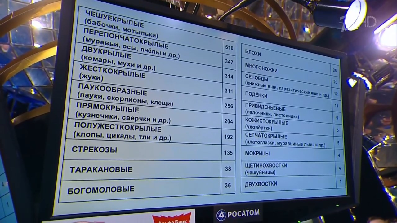 Мария Костина о насекомых в хокку 