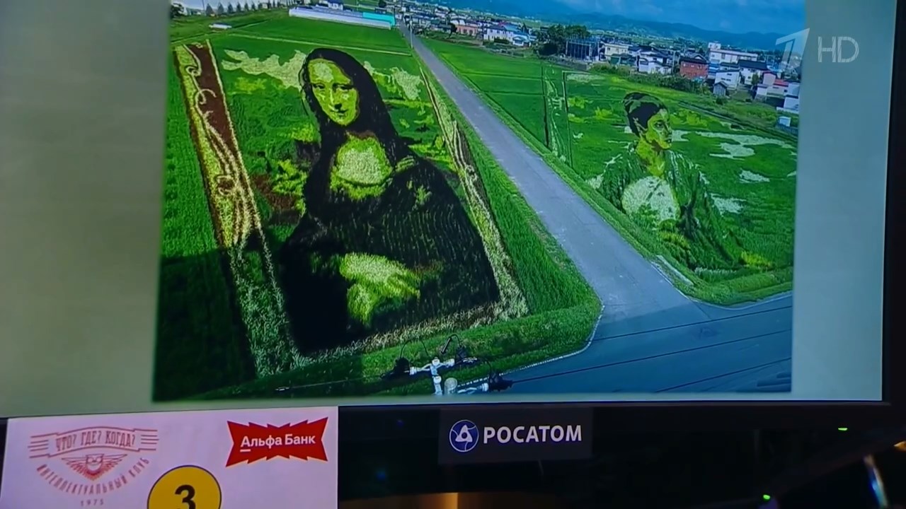 Дарья Сергиенко о картинах из полей